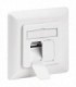 68721 CAT 6a WALL PLATE FLUSH MOUNTING WHITE