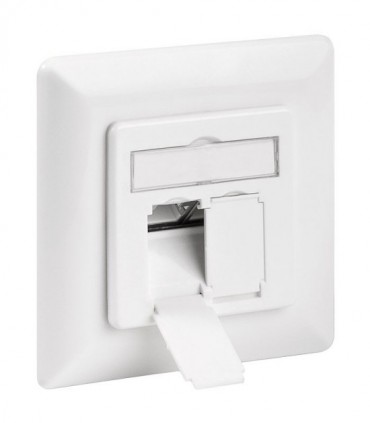 68721 CAT 6a WALL PLATE FLUSH MOUNTING WHITE