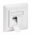 68721 CAT 6a WALL PLATE FLUSH MOUNTING WHITE