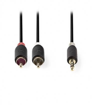 NEDIS CABW22200AT100 Stereo Audio Cable 3.5 mm Male - 2x RCA Male 10 m Anthracit