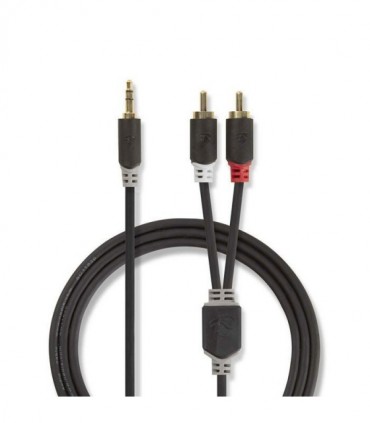 NEDIS CABW22200AT100 Stereo Audio Cable 3.5 mm Male - 2x RCA Male 10 m Anthracit